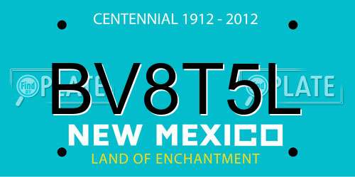BV8T5L New Mexico License Plate