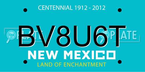 BV8U6T New Mexico License Plate