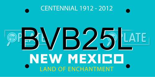 BVB25L New Mexico License Plate