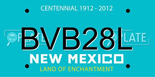 BVB28L New Mexico License Plate