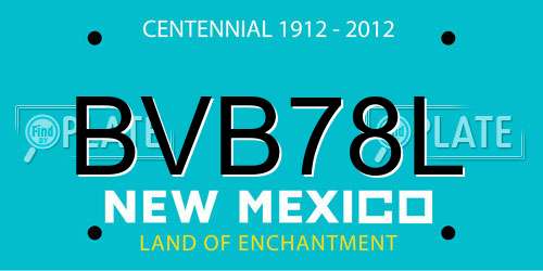BVB78L New Mexico License Plate