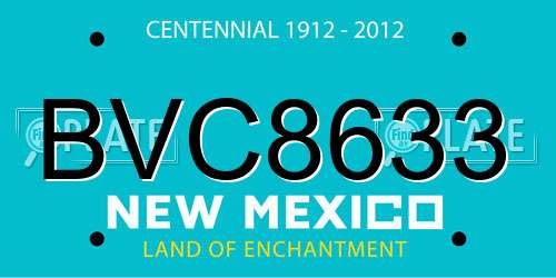 BVC8633 New Mexico License Plate