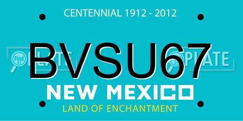 BVSU67 New Mexico License Plate