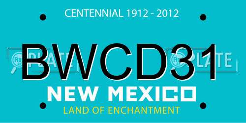 BWCD31 New Mexico License Plate