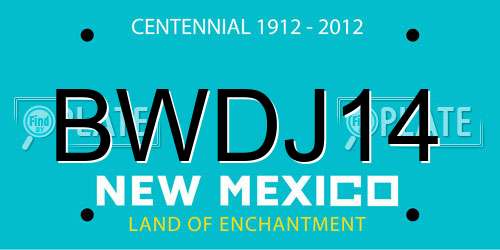 BWDJ14 New Mexico License Plate