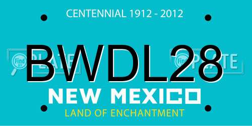 BWDL28 New Mexico License Plate