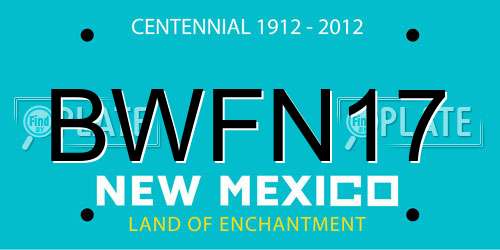 BWFN17 New Mexico License Plate