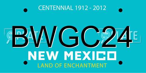 BWGC24 New Mexico License Plate