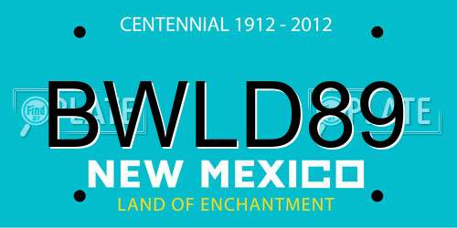 BWLD89 New Mexico License Plate