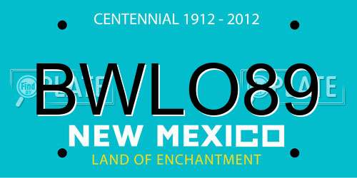 BWLO89 New Mexico License Plate