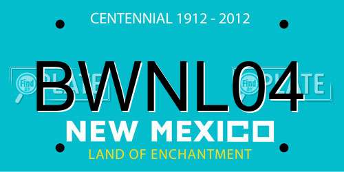 BWNL04 New Mexico License Plate
