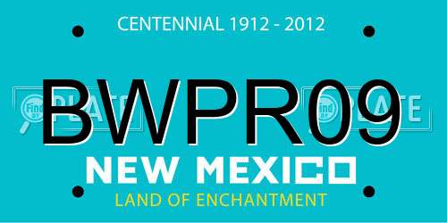 BWPR09 New Mexico License Plate