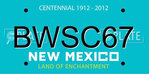 BWSC67 New Mexico License Plate