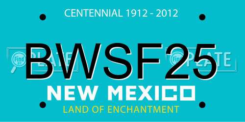 BWSF25 New Mexico License Plate