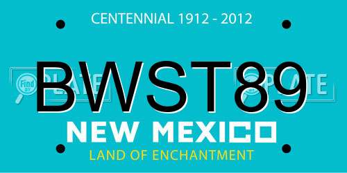 BWST89 New Mexico License Plate