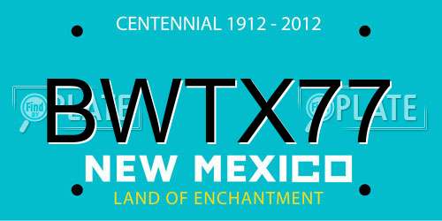 BWTX77 New Mexico License Plate