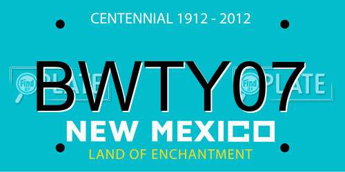 BWTY07 New Mexico License Plate