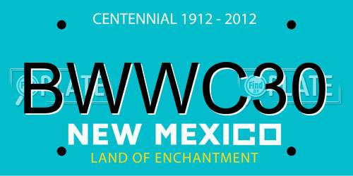 BWWC30 New Mexico License Plate