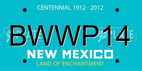 BWWP14 New Mexico License Plate