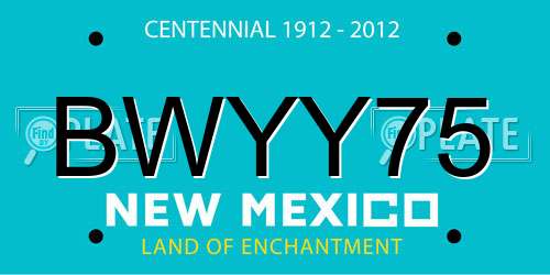 BWYY75 New Mexico License Plate