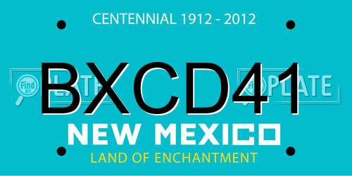 BXCD41 New Mexico License Plate