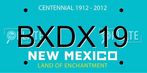 BXDX19 New Mexico License Plate