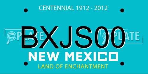 BXJS00 New Mexico License Plate