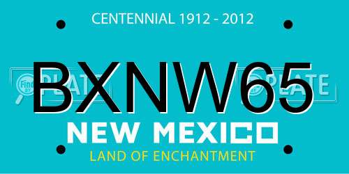 BXNW65 New Mexico License Plate