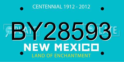 BY28593 New Mexico License Plate