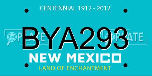 BYA293 New Mexico License Plate