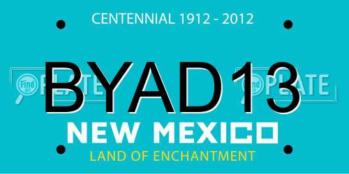 BYAD13 New Mexico License Plate