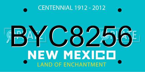 BYC8256 New Mexico License Plate