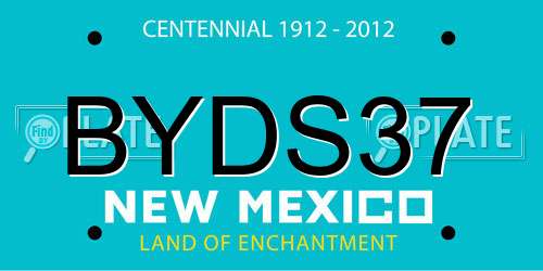 BYDS37 New Mexico License Plate