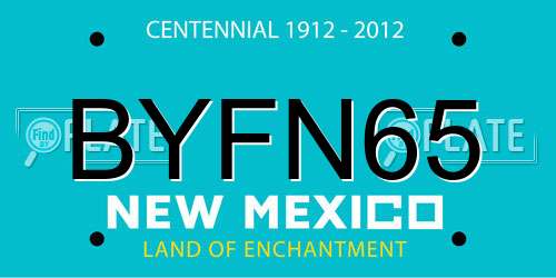 BYFN65 New Mexico License Plate