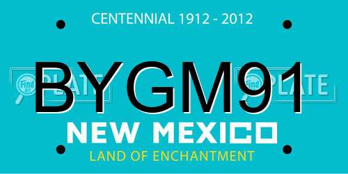 BYGM91 New Mexico License Plate