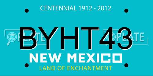 BYHT43 New Mexico License Plate