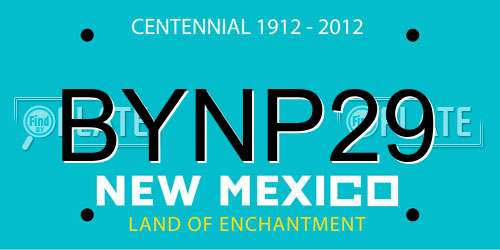 BYNP29 New Mexico License Plate