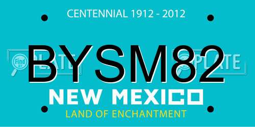 BYSM82 New Mexico License Plate