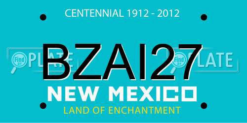 BZAI27 New Mexico License Plate
