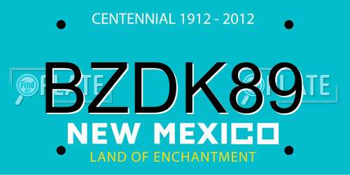 BZDK89 New Mexico License Plate