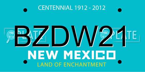 BZDW21 New Mexico License Plate