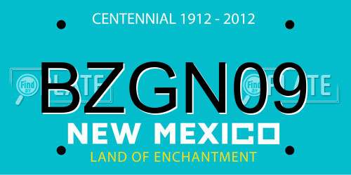 BZGN09 New Mexico License Plate