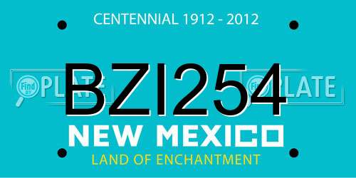 BZI254 New Mexico License Plate