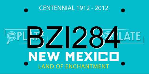 BZI284 New Mexico License Plate