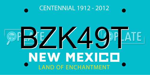 BZK49T New Mexico License Plate