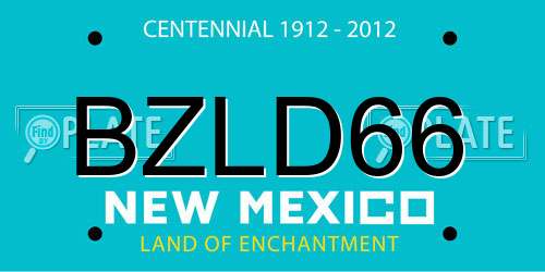 BZLD66 New Mexico License Plate