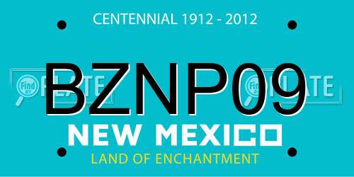 BZNP09 New Mexico License Plate