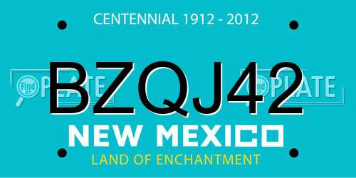 BZQJ42 New Mexico License Plate
