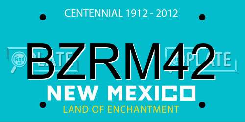 BZRM42 New Mexico License Plate