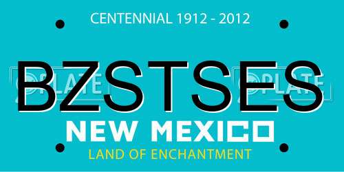 BZSTSES New Mexico License Plate